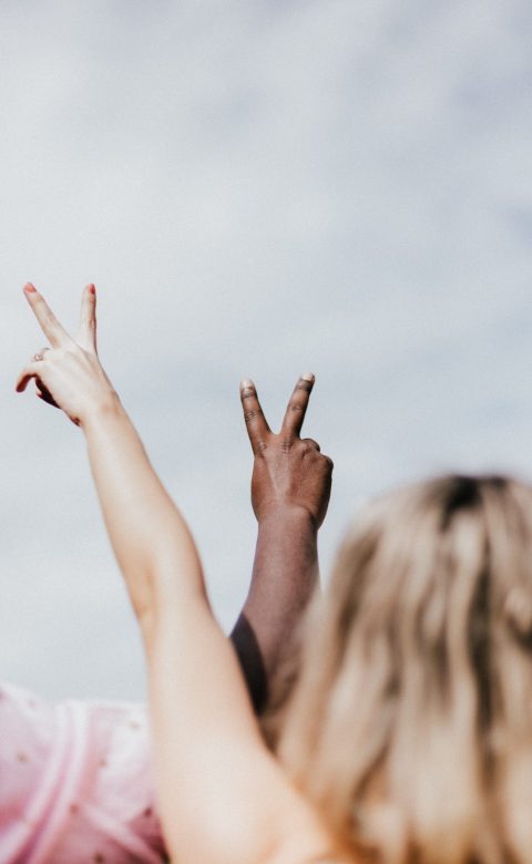 priscilla-du-preez-xy0JBTQlRuY-unsplash priscilla-du-preez-xy0JBTQlRuY-unsplash